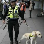 police sniffer dog searches should they be legal